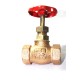 GM Globe Union Bonnet Valves Valve Forged Gun Metal Screwed SS Parts (RMW)
